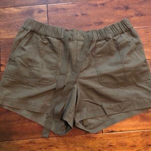 Ann Taylor LOFT NWOT Sz 10 Hunter Green Shorts